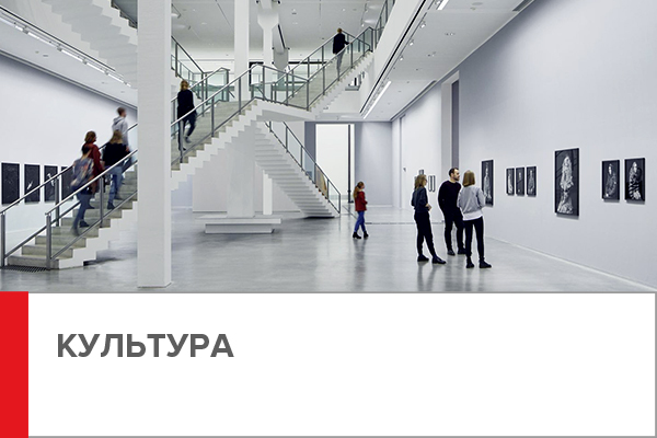 библиотеки, музеи, театры, культурные центры, выставочные, центры, кинотеатры, цирки, клубные учреждения, зоопарки