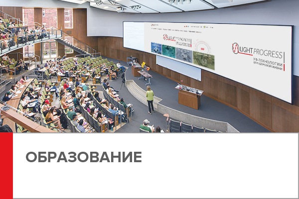 Детские сады, школы, институты, университеты