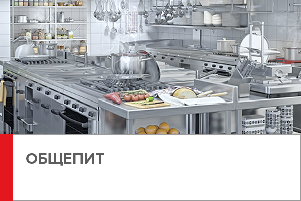 рестораны, кафе, бары, буфеты, столовые, пиццерии, кофейни, кулинарные и кондитерские цеха, пельменные, блинные, точки «фаст-Фуд»