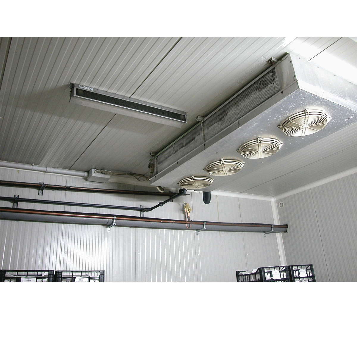 uv-reflex-e40h-sc-b-nx-3